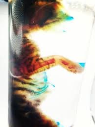 Chat mimi